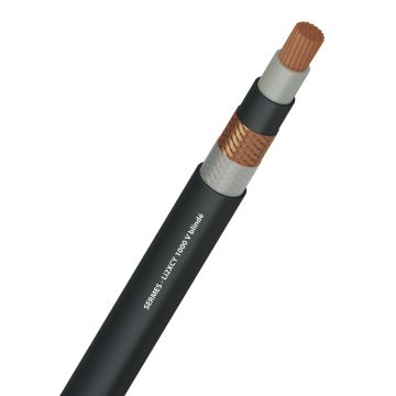 Li2XCY 1000 V blindé