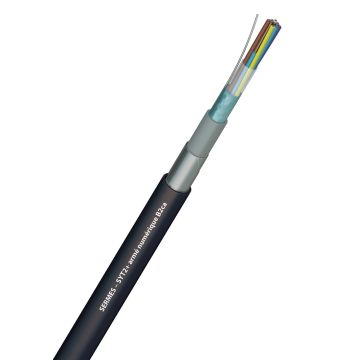 SYT2+ armé numérique B2ca s1a, d1, a1