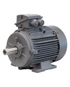 Moteurs fonte IE3 iSP