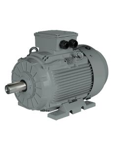 Moteurs fonte IE4 ST4