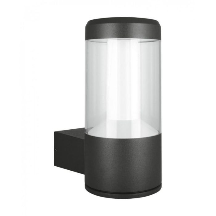 FIRST CAND main product photo