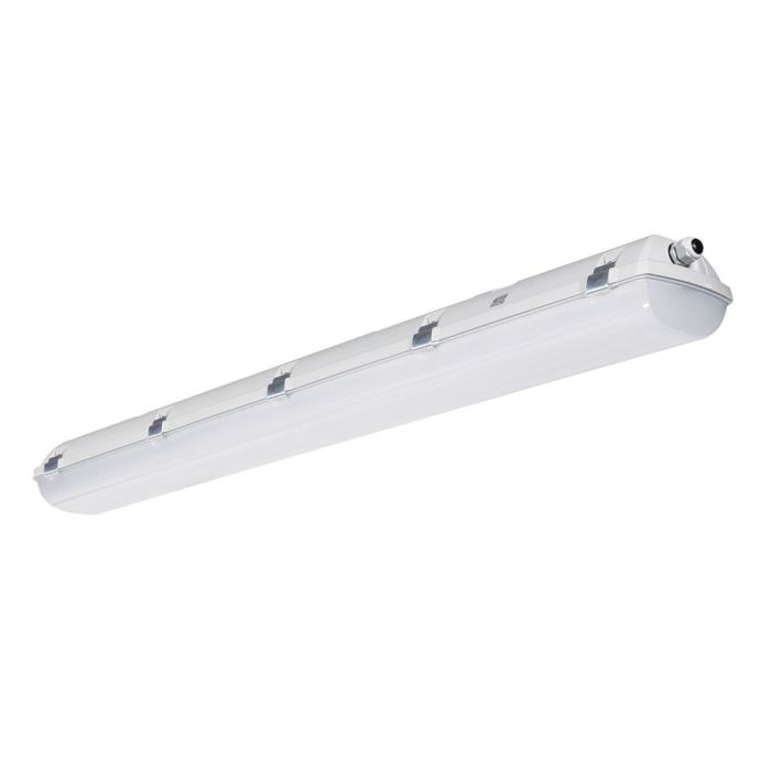 CELSIUS main product photo