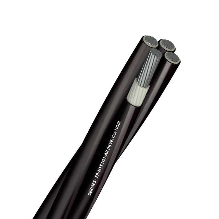FR-N1 X1G1-AR (IRVE) 4X1X25 Cca NOIR TGL main product photo