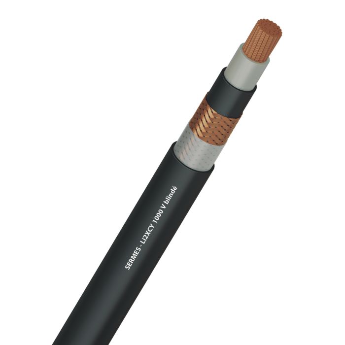 Li2XCY 1000 V blindé main product photo