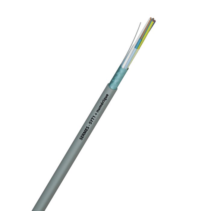 SYT1+ numérique main product photo