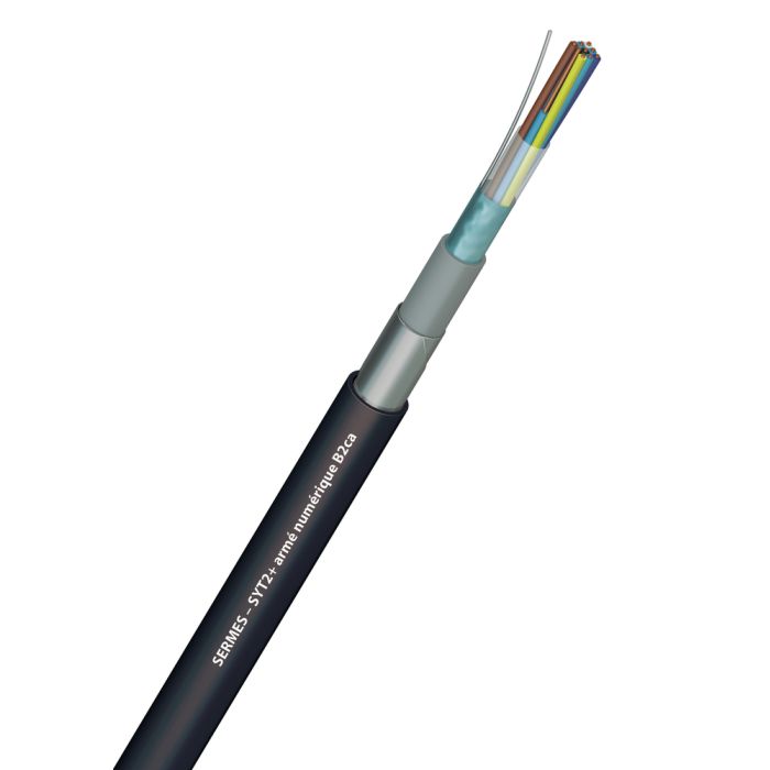 SYT2+ armé numérique B2ca s1a, d1, a1 main product photo