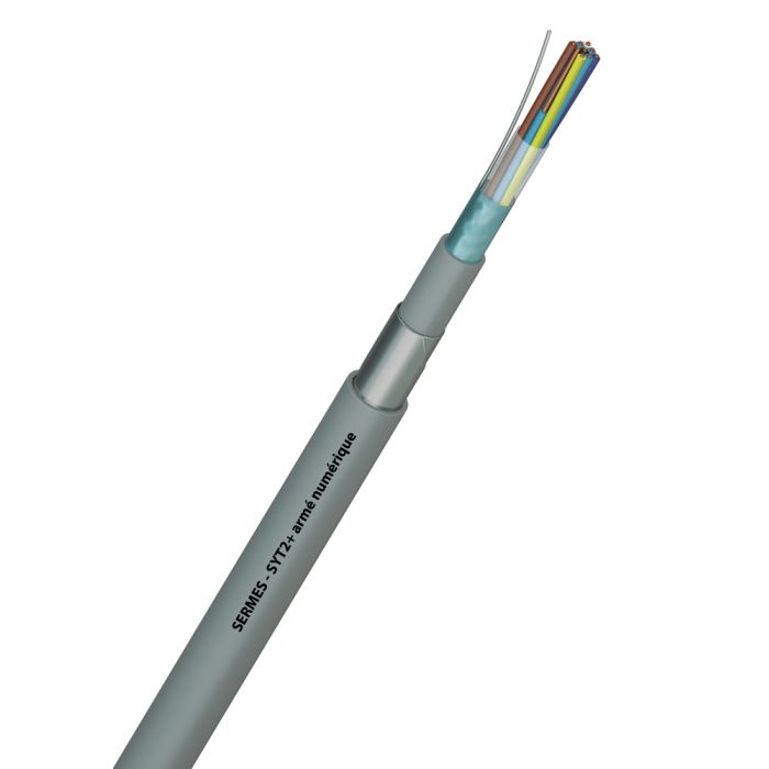 SYT2 10 PAIRES 0,8 AWG 20 TGL main product photo