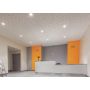 downlight, dyn8