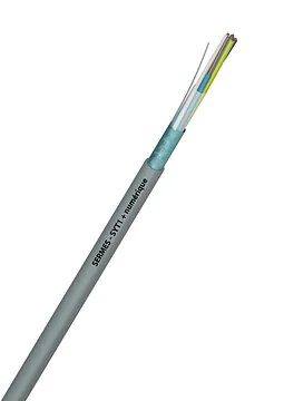 SYT1+ numérique