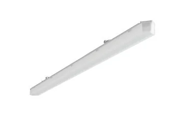 CLIP