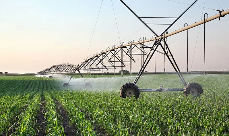 Agricole, élevage
