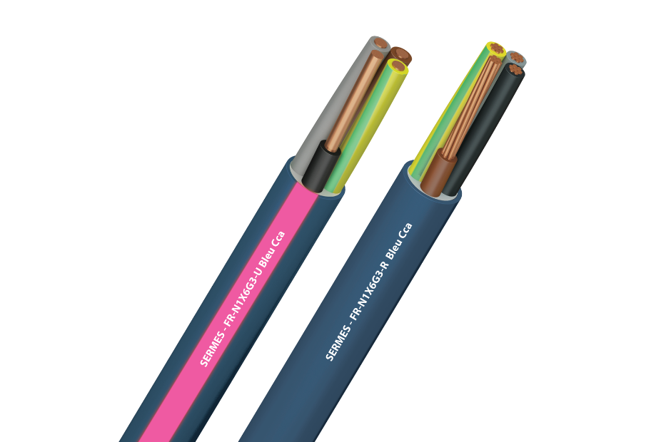 FR-N1X6G3​ pour ERP / IGH​