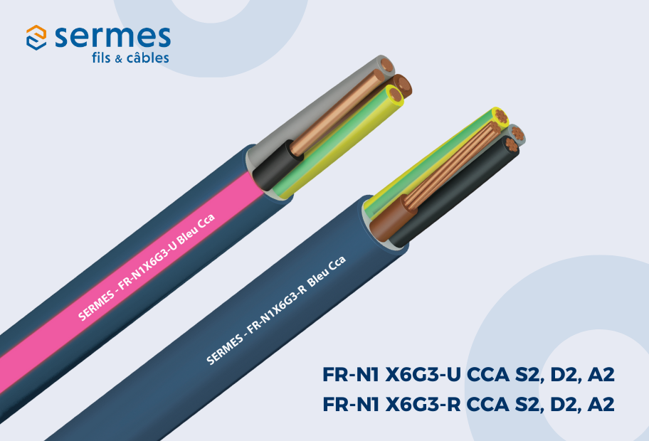 FR-N1X6G3​ pour ERP / IGH​